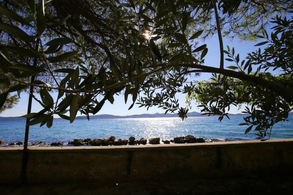 Seafront Beach Apartment - Directly At The Beach Zadar Eksteriør billede